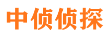 蒸湘侦探公司